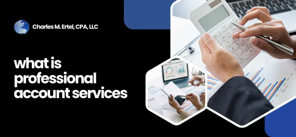 professional accounting services