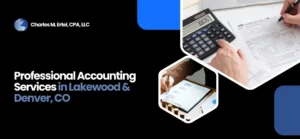 professional accounting services
