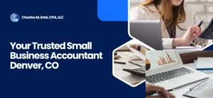 accountants