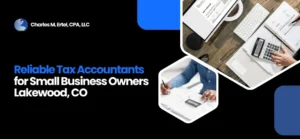 tax accountants