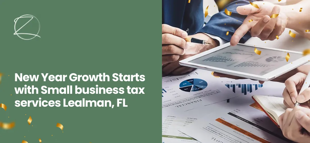 Small business tax services Lealman, FL
