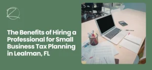 Small business tax planning Lealman, FL