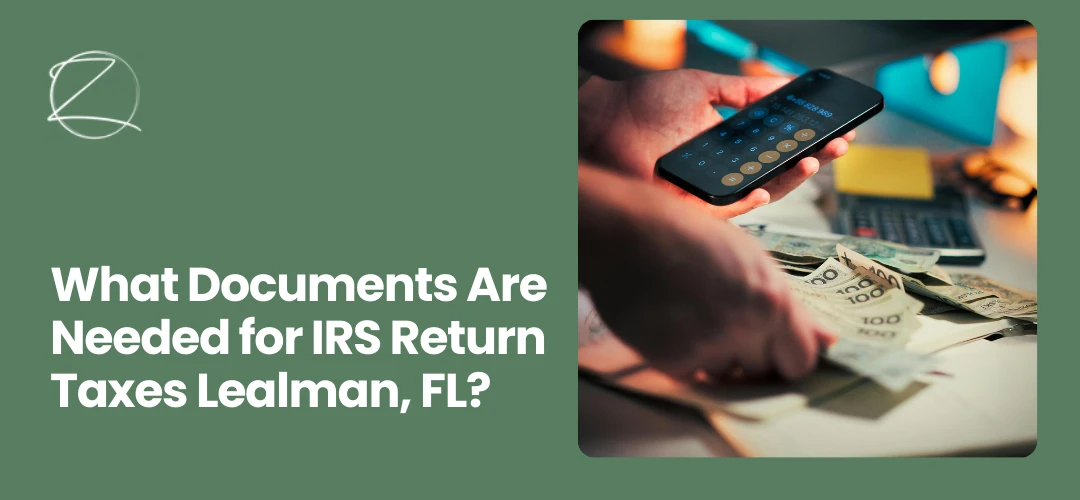 IRS return taxes Lealman, FL